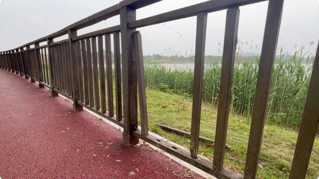 南京市市长陈之常走进直播间，现场责令核查燃气二次收费