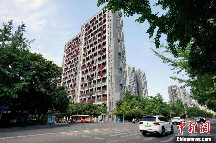 成都一栋30层高居民楼被三角梅扮靓