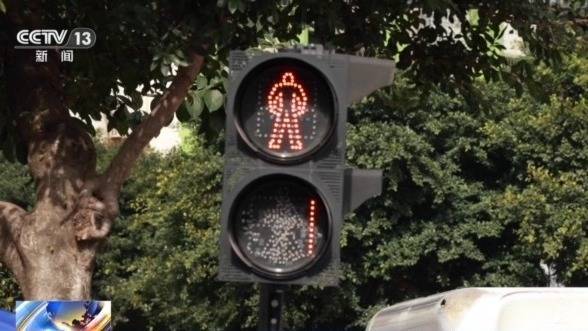 法治在线丨从日赚千元到血本无归 “字画竞拍”竟是传销陷阱