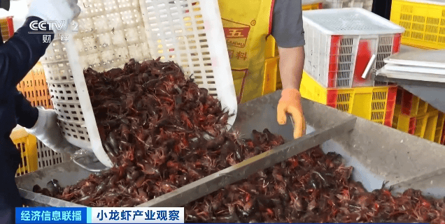 价格暴跌近50%！“接下来还会降”！青岛正大量上市……