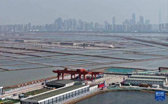 “千里海河高铁第一隧”成功穿越海河