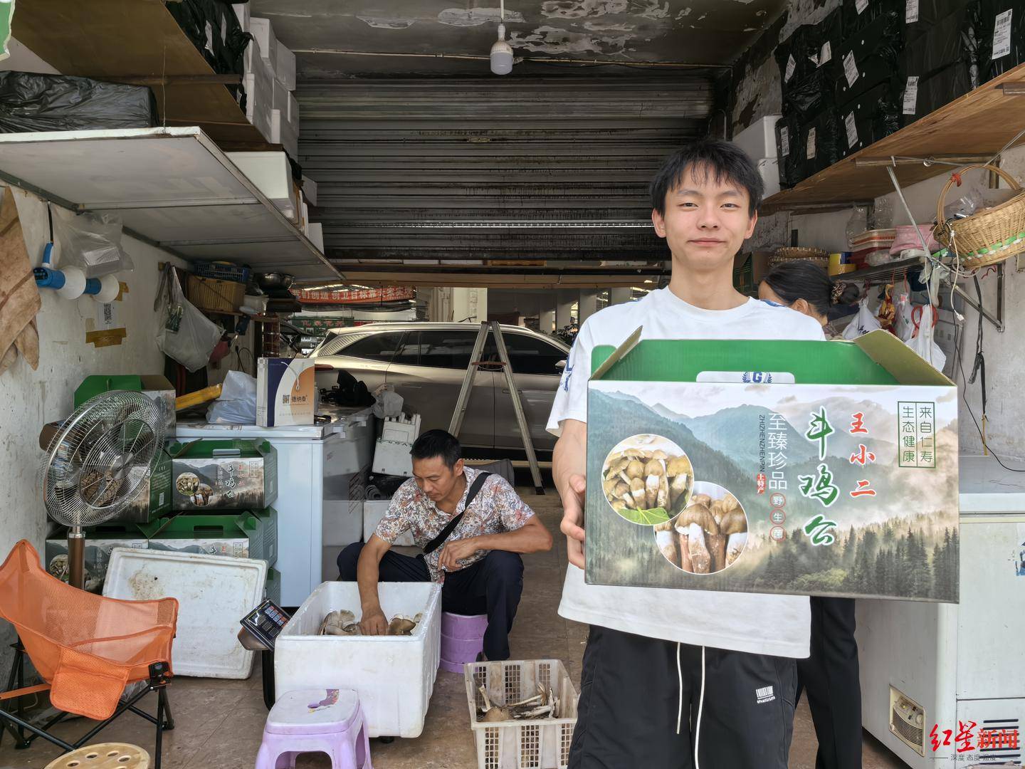 “天价”鸡枞调查：最贵卖到1800元/公斤！雨水少致产量低，多地价高客少