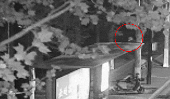 江苏一男子戴仿真“人皮”面具入室盗窃，流窜多个小区作案，涉案金额达15万余元