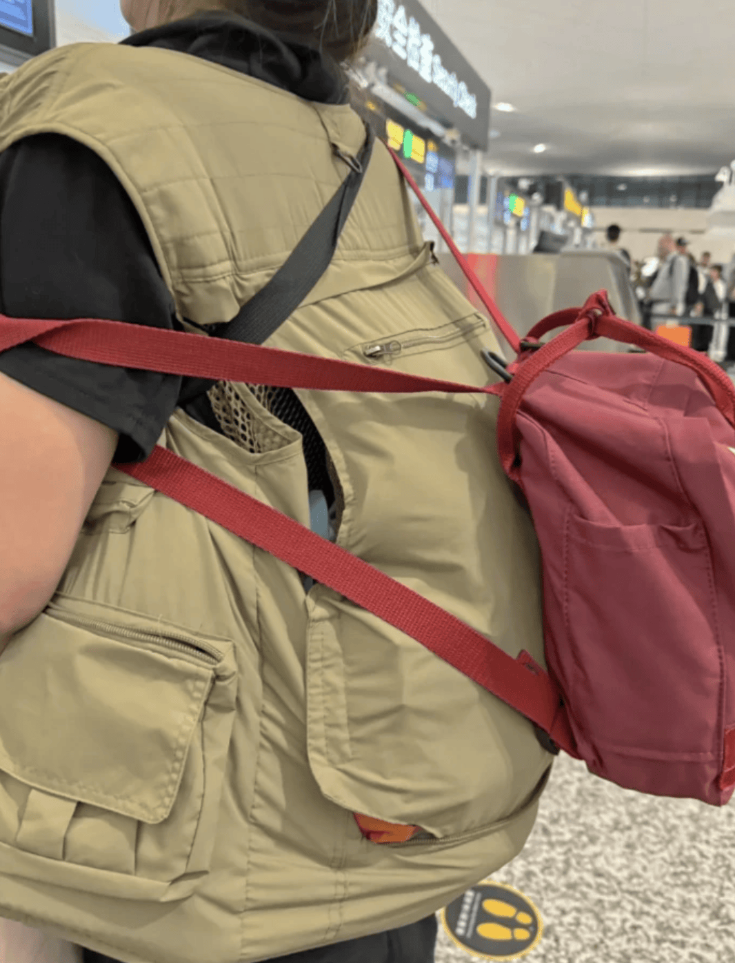 “坐飞机发现旁边放着冷链海鲜”,航空公司兼职送货给出差人整破防了