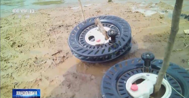 保护区里的“疯狂垂钓”屡禁不止！记者调查