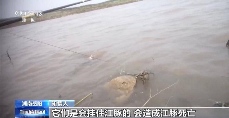 保护区里的“疯狂垂钓”屡禁不止！记者调查