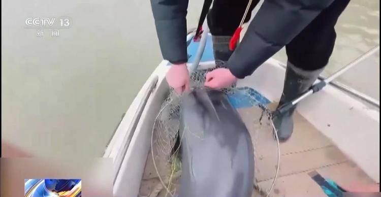 保护区里的“疯狂垂钓”屡禁不止！记者调查