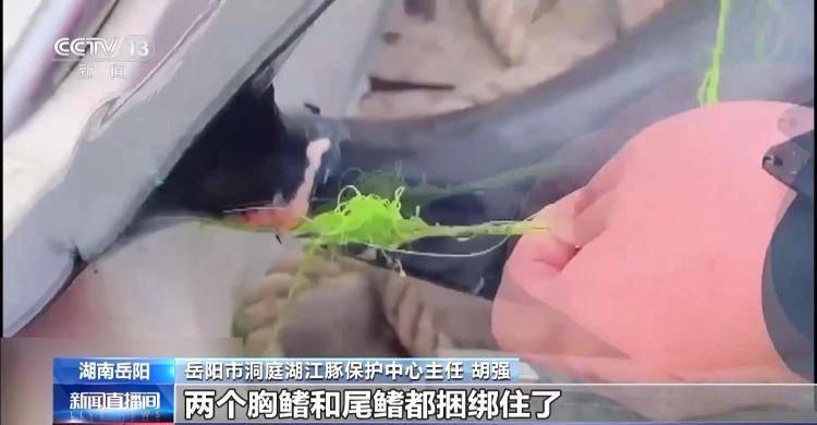 保护区里的“疯狂垂钓”屡禁不止！记者调查