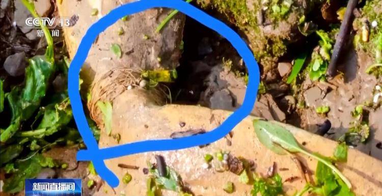 保护区里的“疯狂垂钓”屡禁不止！记者调查