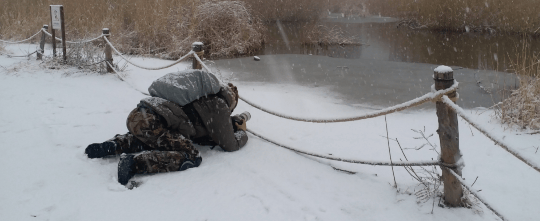 张瑜：我们所居住的北京，是亲近自然的最佳场所