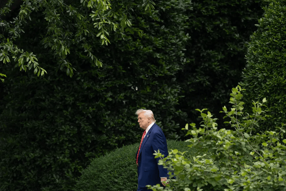 欧盟加拿大:强烈遗憾!强烈反对!