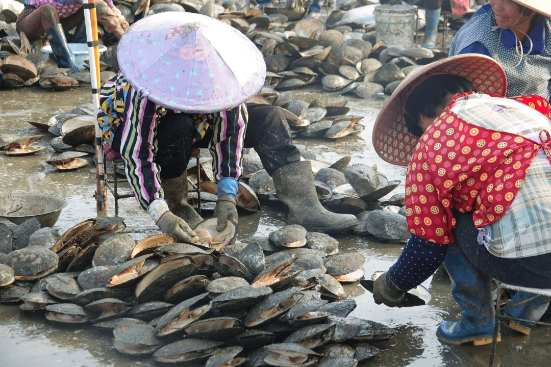 全球农业文化遗产上新，为何是它们？