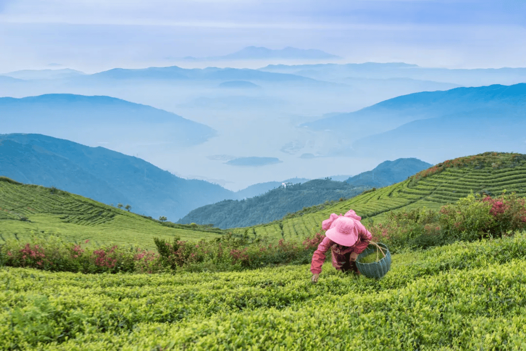全球农业文化遗产上新，为何是它们？