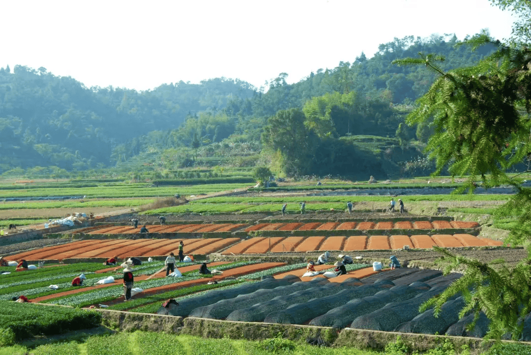 全球农业文化遗产上新，为何是它们？