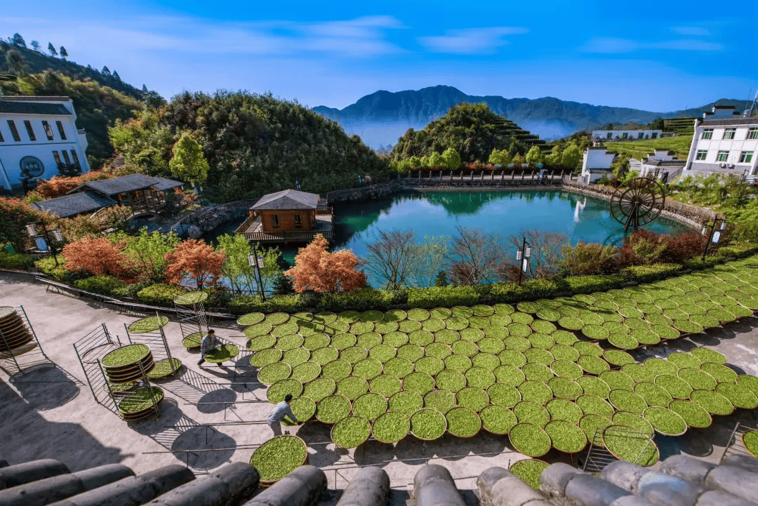 全球农业文化遗产上新，为何是它们？