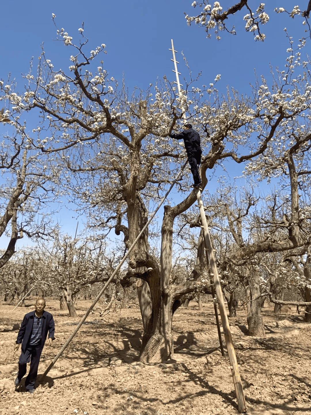 全球农业文化遗产上新，为何是它们？