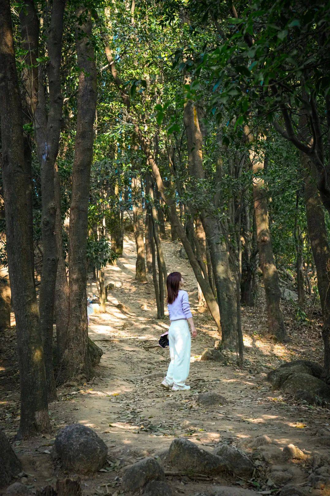 放假通知:连休8天!