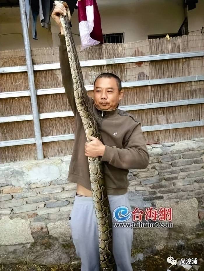 女游客疑被蛇咬伤身亡后，博主“啊宝”讲毒蛇1天涨粉190万