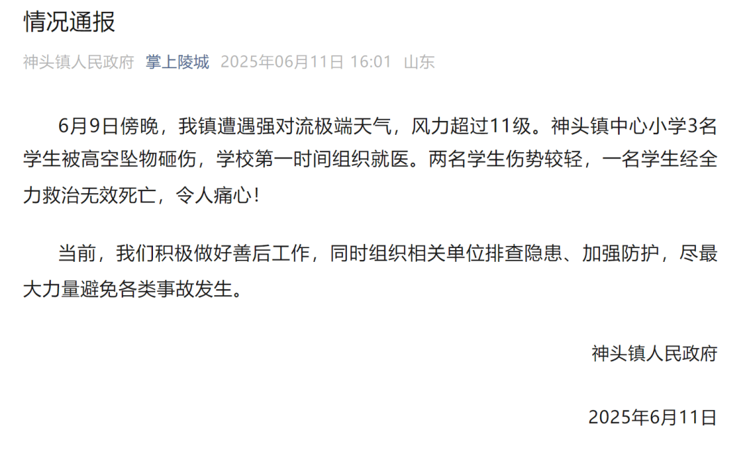 山东德州通报“小学楼顶光伏板掉落砸中多名学生”:3名学生被砸伤,1名学生经全力救治无效死亡