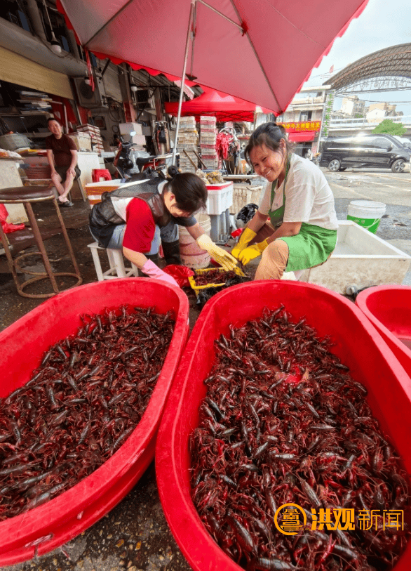 价格腰斩！13元/斤！南昌正大量上市