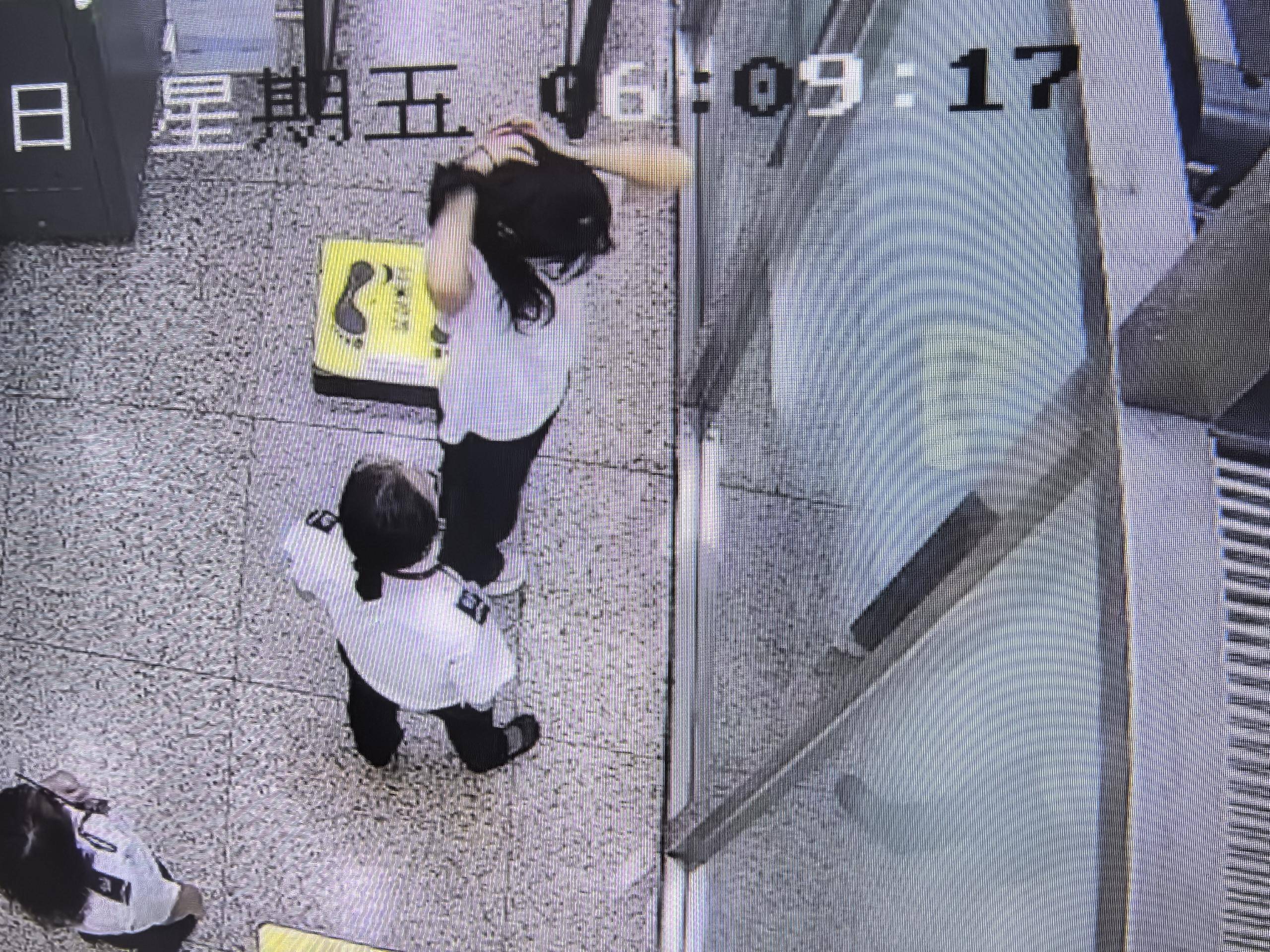 女子将宠物乌龟藏在蝴蝶结盘发内，过安检乘飞机时被查 警方：批评教育