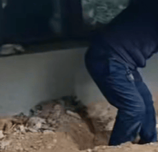 河南长垣女子购买一楼房子在院子里挖出疑似人体骨头,警方介入!物业:多方协调中