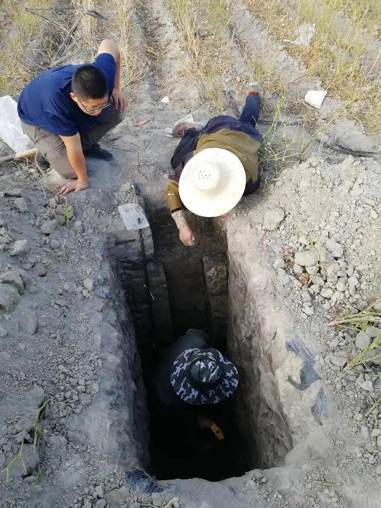 重大突破！新疆发现近千公里“硒腰带”