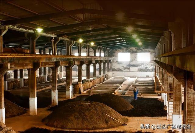 我国跌落神坛的5款“倒霉”酒，曾火遍大江南北，如今却无人问津