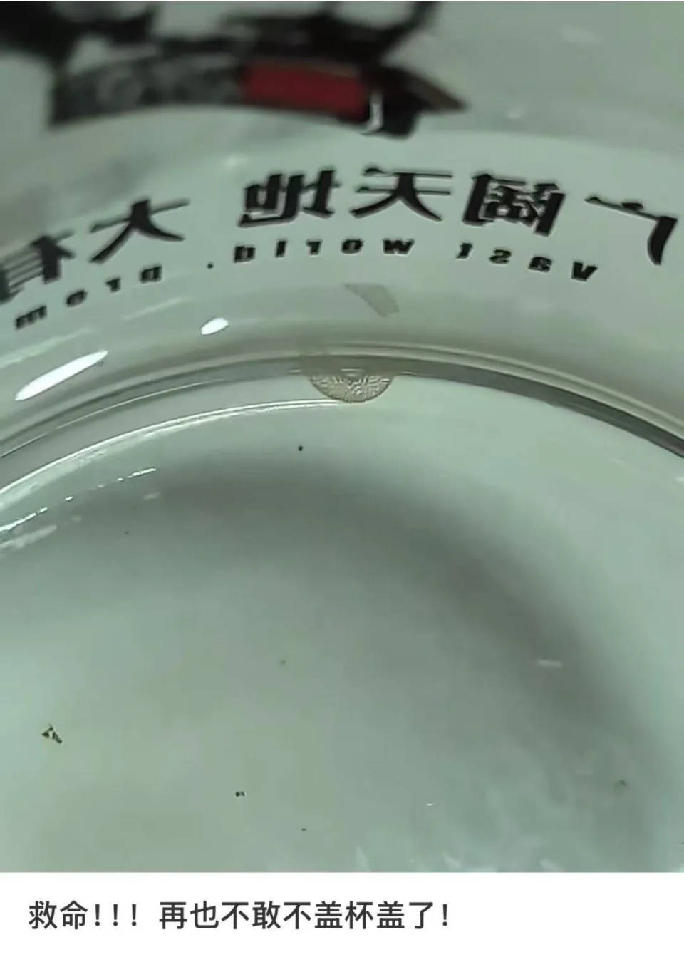 女子喝了隔夜水里的蚊子卵!专家:没事