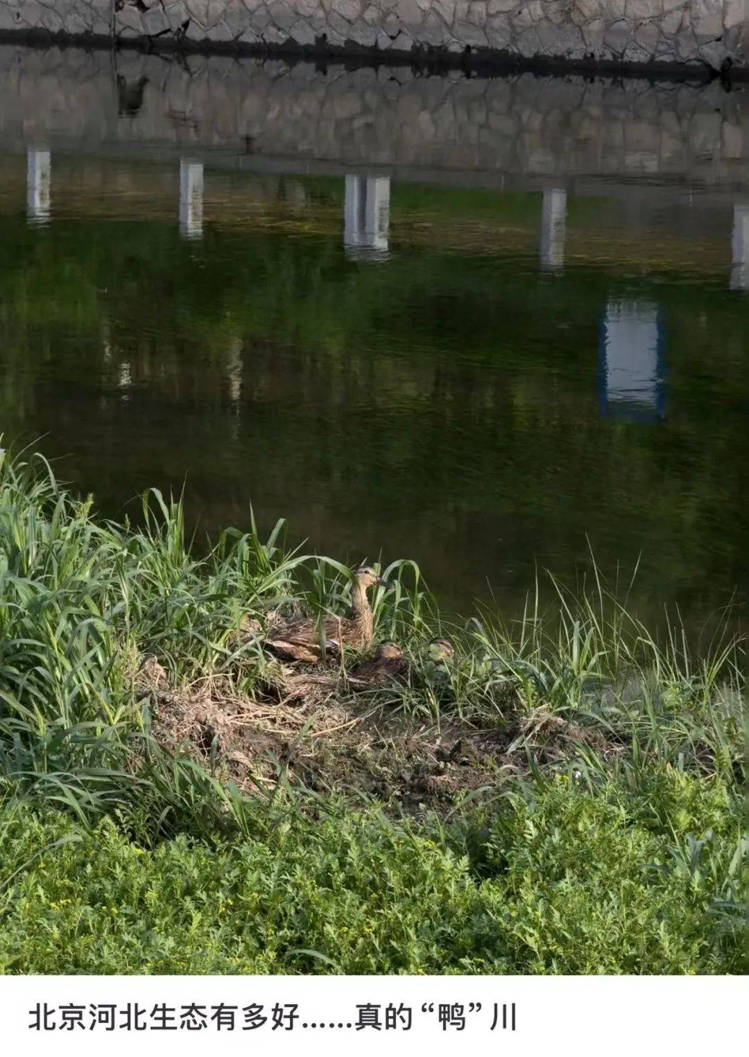 缺水的北京，被北漂强行玩成了威尼斯