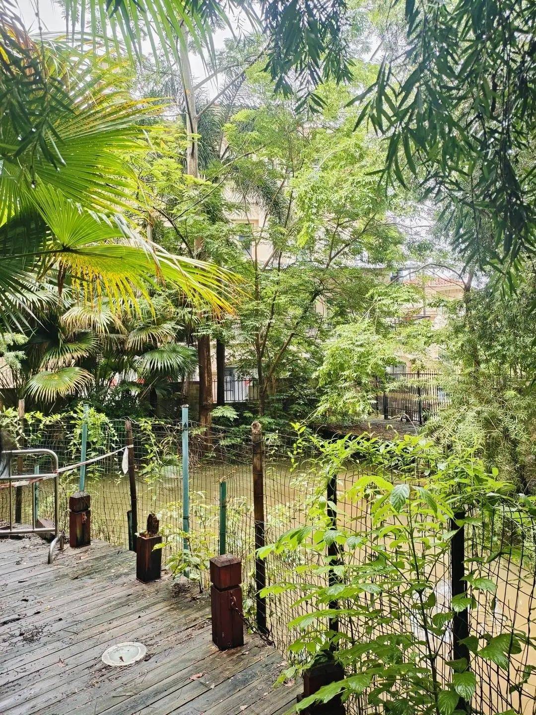 黄杨钿甜父母回应网络争议：“天价耳环”实际100多元，别墅不是自家的，只是路过拍照