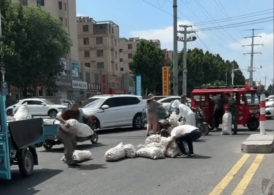 多人哄抢掉地大蒜，遭人呵斥也无济于事……市民：不应占这种小便宜