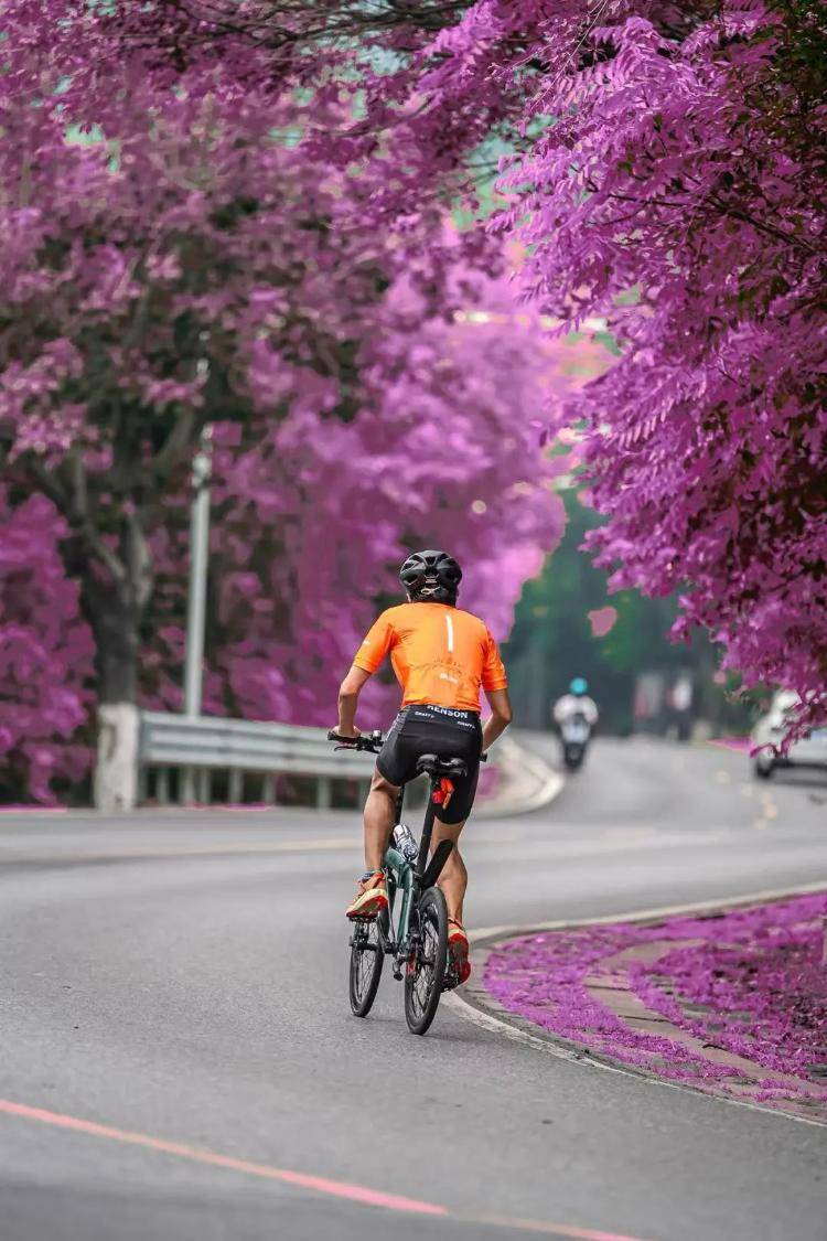 拍一天最多赚千元！追焦摄影师成为月入过万新职业？