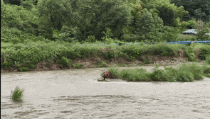 河水暴涨！男子钓鱼被困河中央，消防横渡救人