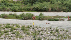 河水暴涨！男子钓鱼被困河中央，消防横渡救人