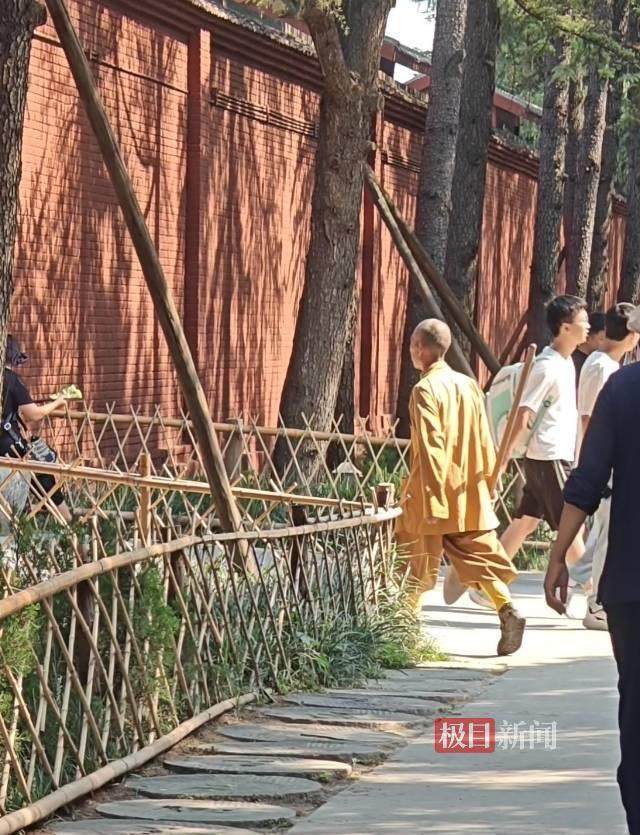 印乐方丈管理下的白马寺:僧人顶着高温种地,义工称寺里秉承农禅并重
