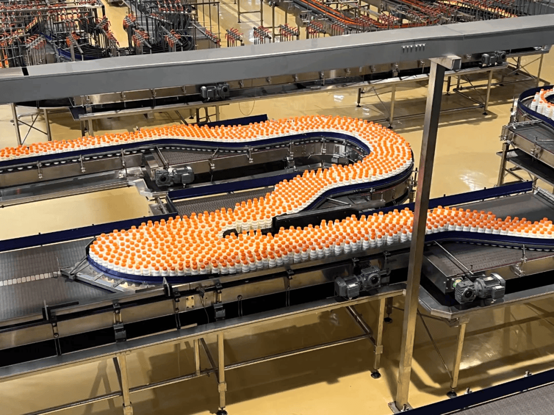 宗馥莉去哪了？