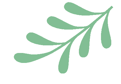 保定交警提醒：未满16周岁不得驾驶电动自行车！