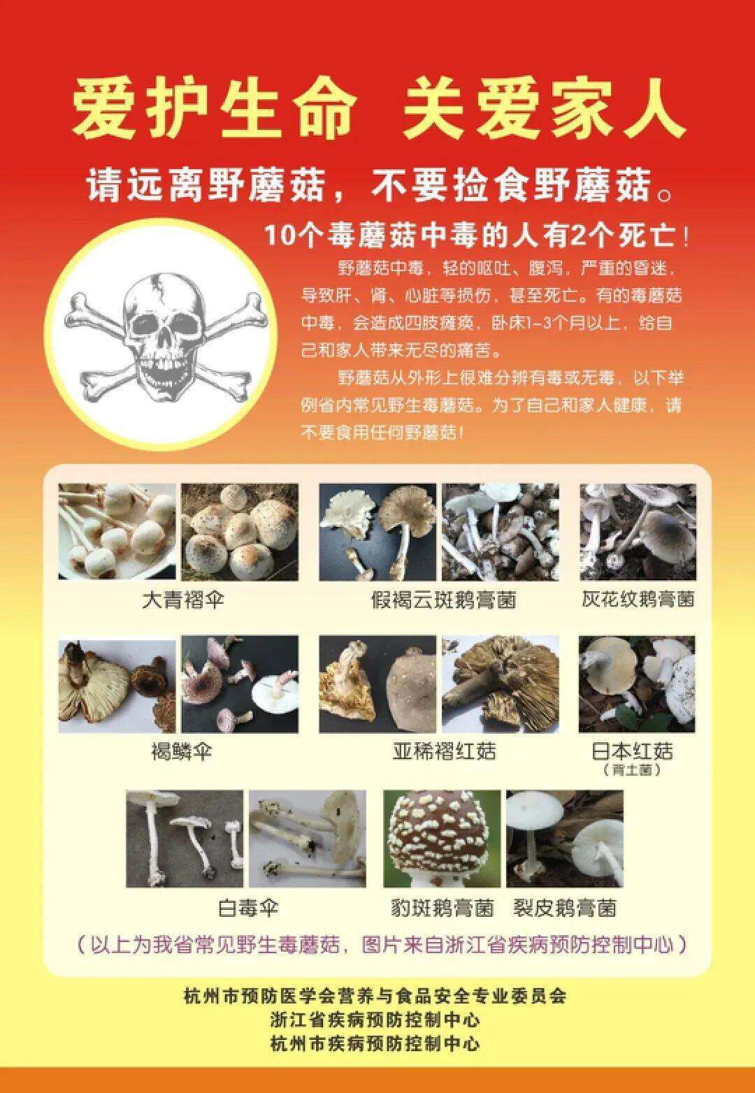 云南姑娘今年在杭州采了200斤鸡枞菌!专家提醒→