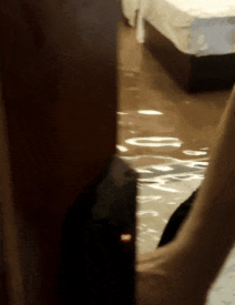 只因在酒店房间晾衣服,却赔了2000块?