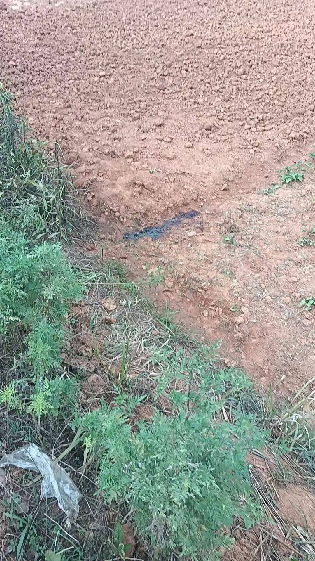 工人被误当猎物枪击身亡,警方通报:屈某某、罗某某被刑拘