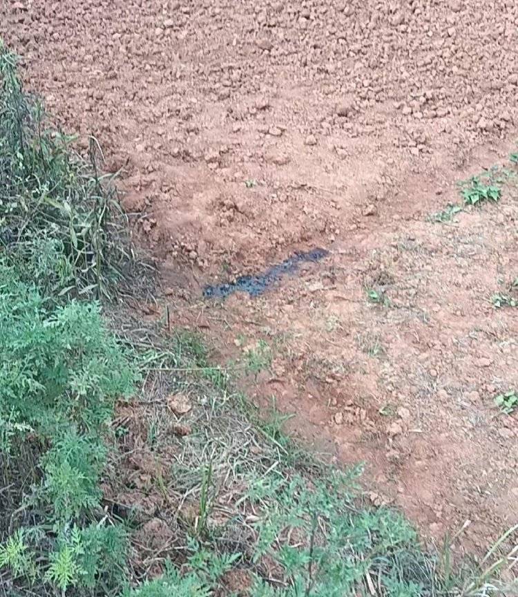 工人如厕被误当猎物枪击身亡,亲属:他此次打工是为攒钱筹备女儿婚礼