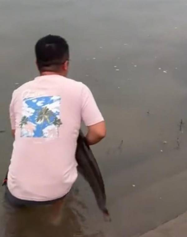 四川一男子钓1米长大鱼后放生，围观者高呼“卖给我”，回应：钓鱼是为娱乐