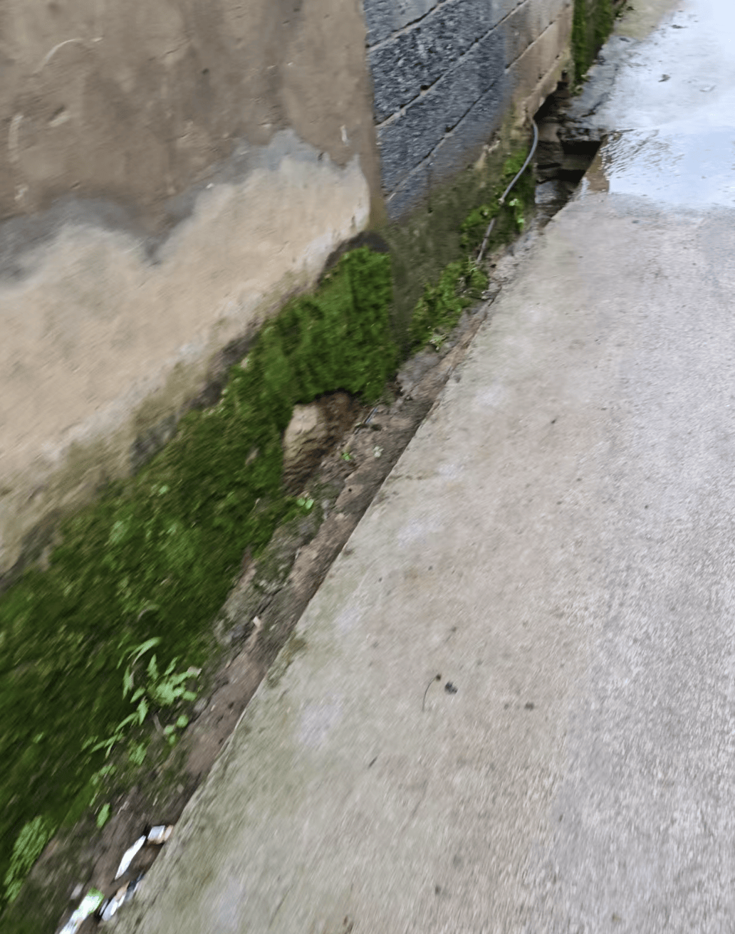 云南曲靖一女孩被同班男生送回家途中杀害，当地警方介入，家属发声