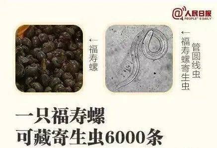 别吃!寄生虫多达6000条!浙江一地大量出现,看到立刻上报