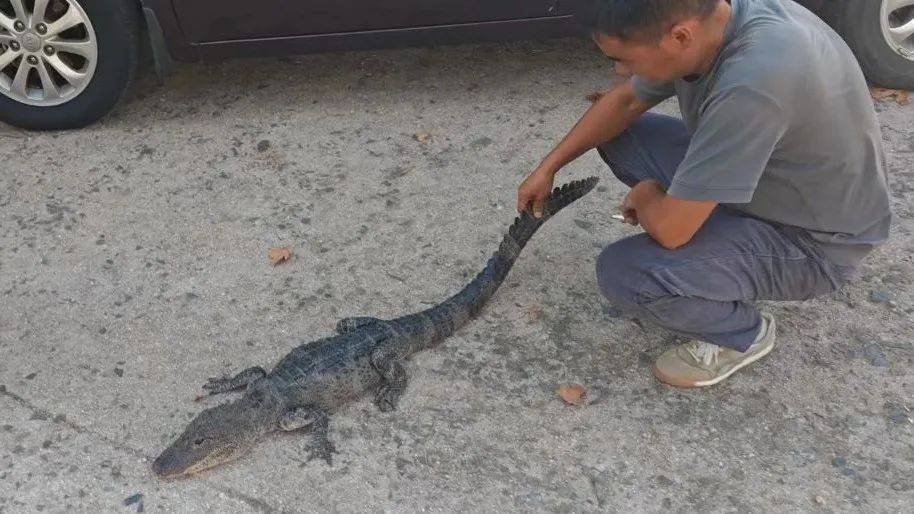 安徽一钓鱼佬钓到一条1米长20斤的“大鱼”,赶紧送到派出所,民警:放生!