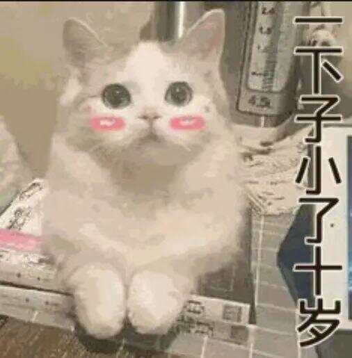 79岁老伯为见其相亲对象“翠花”,将身份证改小10岁 被发现后不忘叮嘱民警“能不能不告诉她”