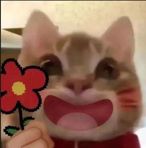 79岁老伯为见其相亲对象“翠花”,将身份证改小10岁 被发现后不忘叮嘱民警“能不能不告诉她”