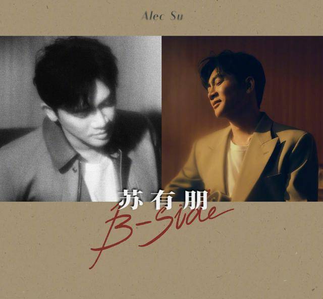 苏有朋音乐会普通票不能合影，本人回应