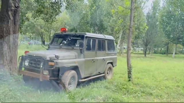 惊险!野生动物园内,两车剐蹭,车主下车沟通老虎一旁围观